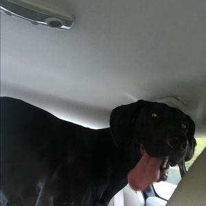 Meet your Posher, Allyson